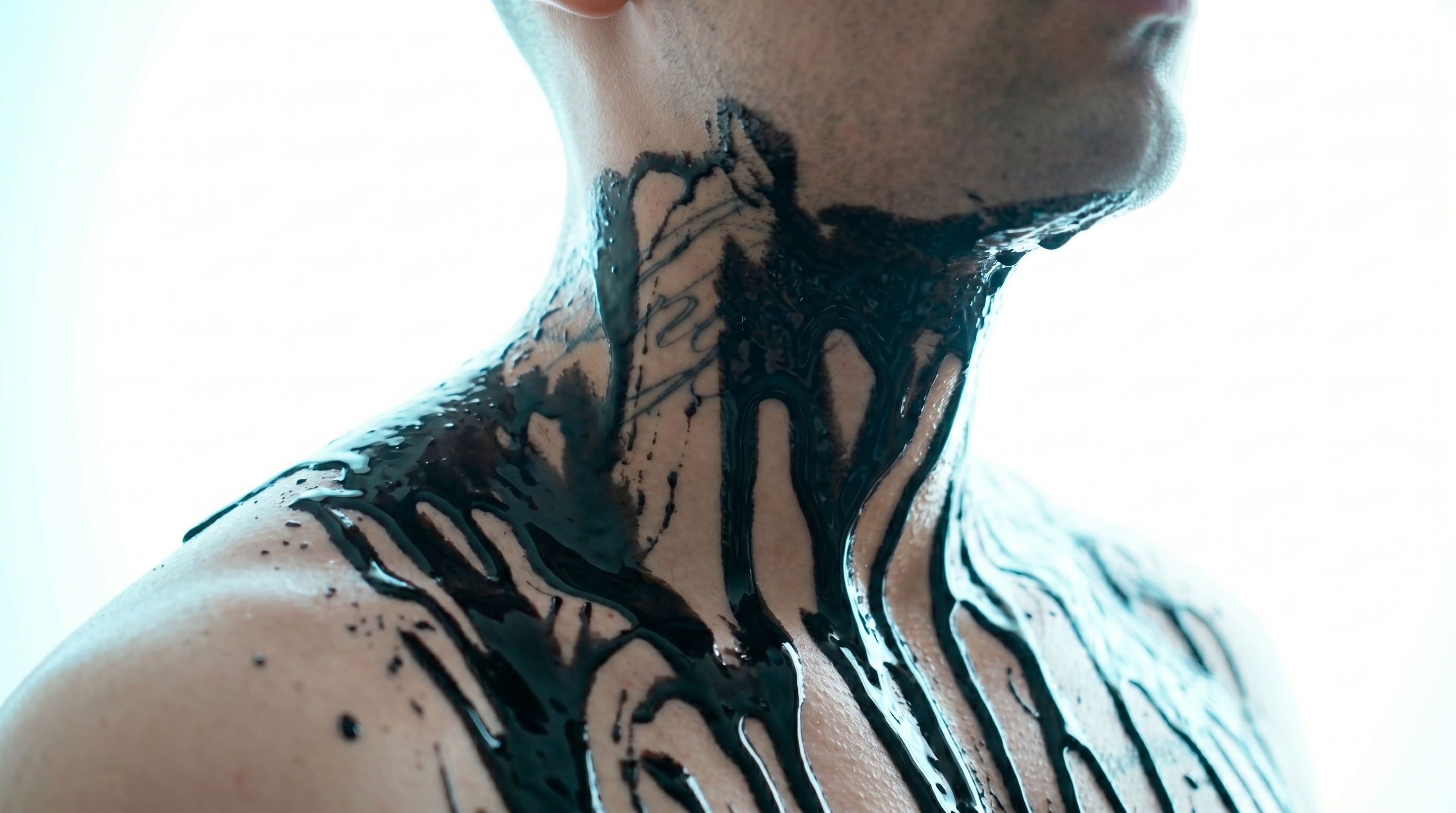 KALIFRN visual